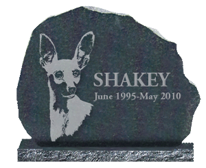 Shakey